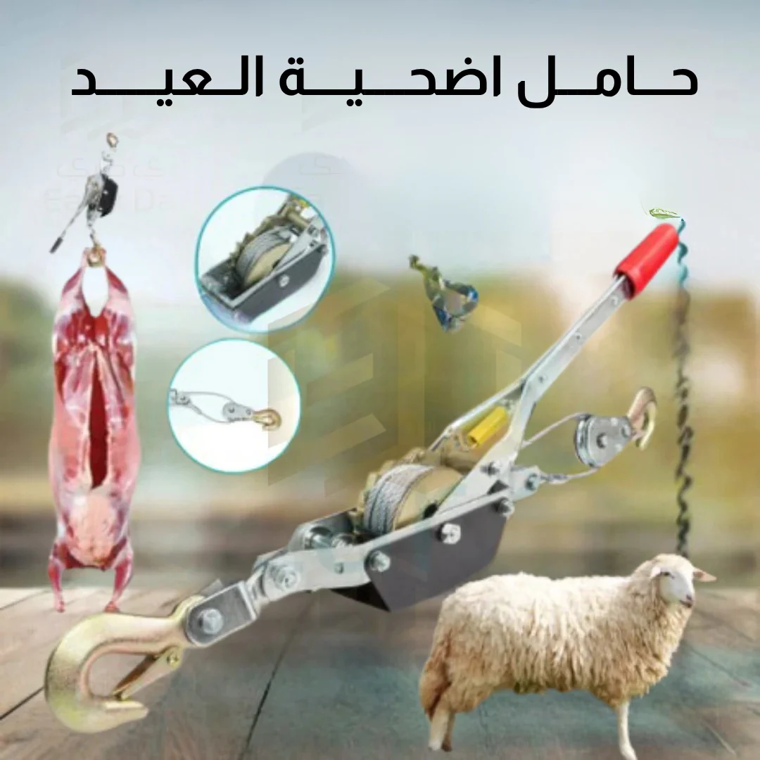 حـــامـــل اضحــــيــــة الــعيــــــد