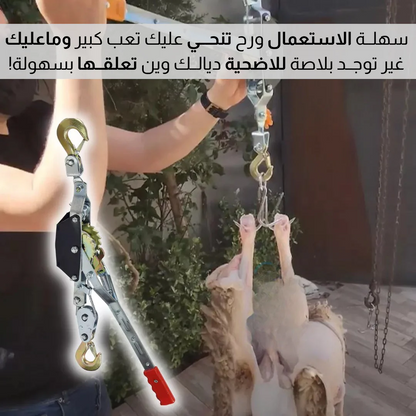 حـــامـــل اضحــــيــــة الــعيــــــد